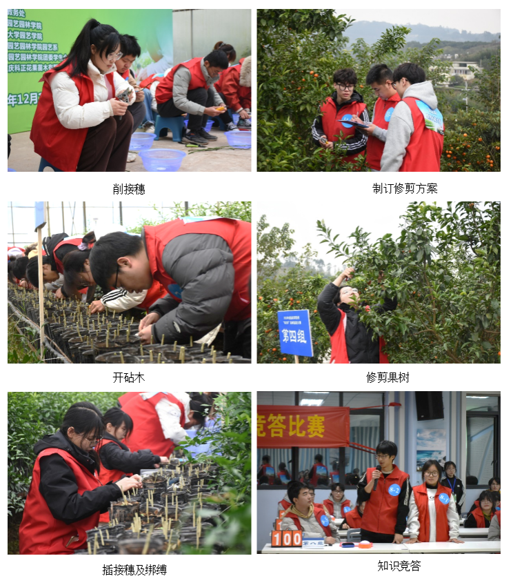 南宫娱乐官网