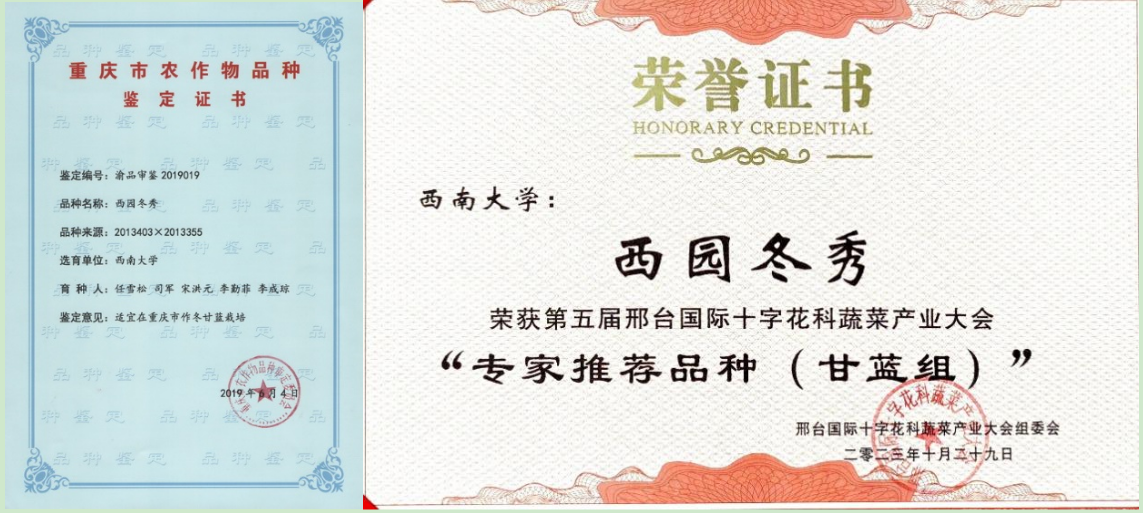 南宫娱乐官网