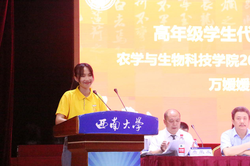 图片2_副本.png