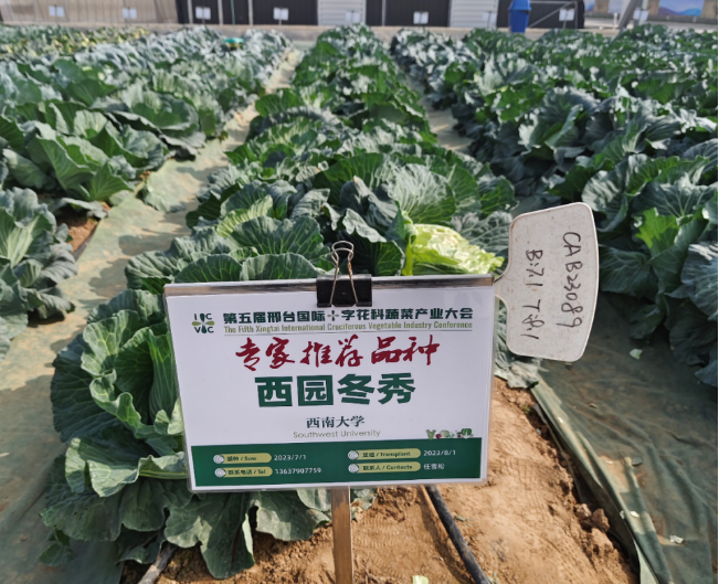 南宫娱乐官网