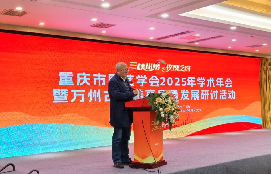 南宫娱乐官网